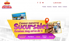 Diseno Paginas Web Supermercados Mexico Agencia RTC